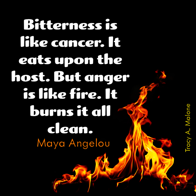 It can be difficult to tell the difference between #anger & #bittnerness but there IS a difference #narcissist #narcissism #covertnarcissist #narcissisticabuse #narcissistabusesupport #tracyamalone #divorcingyournarcissist #divorcinganarcissist #youcantmakethisshitup #mayaangelou