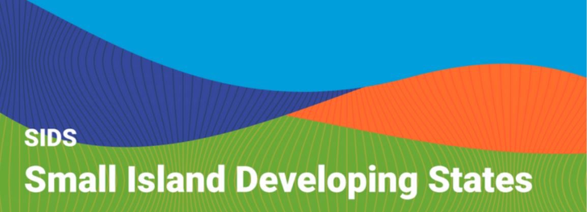 🇩🇪 is committed to a future where the SIDS Partnership Framework amplifies the voices & needs of the SIDS, leading to a sustainable and prosperous tomorrow. Glad we took part in the meeting on the work of Steering Committee. Thank you to co-chairs @irishmissionun 🇮🇪 & Palau 🇵🇼!