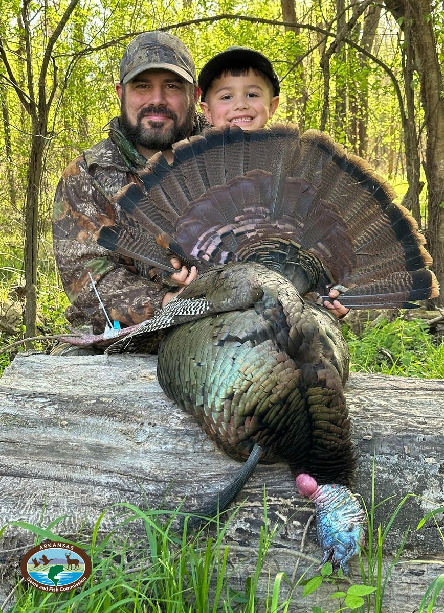 Arkansas youth turkey hunters bag 1,100 birds in two-day hunt 🦃 LITTLE ROCK — Thousands of young hunters took to the woods last weekend for Arkansas’s annual youth turkey hunt, taking advantage of a bright, sunny opening morning followed by a ...ttps://bit.ly/3JgB9UL