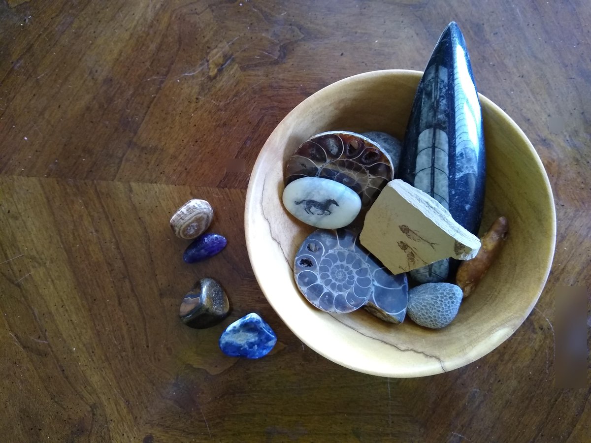 Four new rocks, including an amethyst, from the Piedmont UFO Fest. Doesn't every writer have a rock and fossil bowl? #writinglife