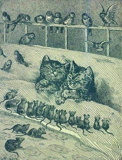 'Cats and Kittens' by Edgar S. Werner, 1906 #illustration #cats #victorianart