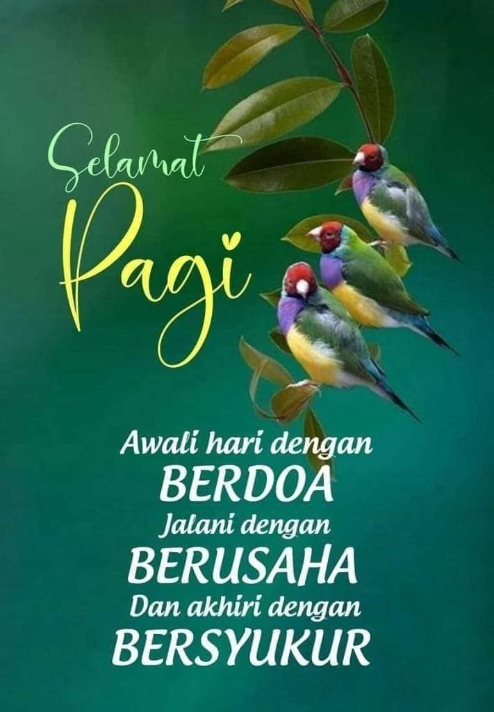 ' Jadilah tabah untuk segala sesuatu yang membuatmu patah ' 

Semangat Pagi, lebaran hari k 3 ..#JumatBerkah 🙏😇😍🇮🇩