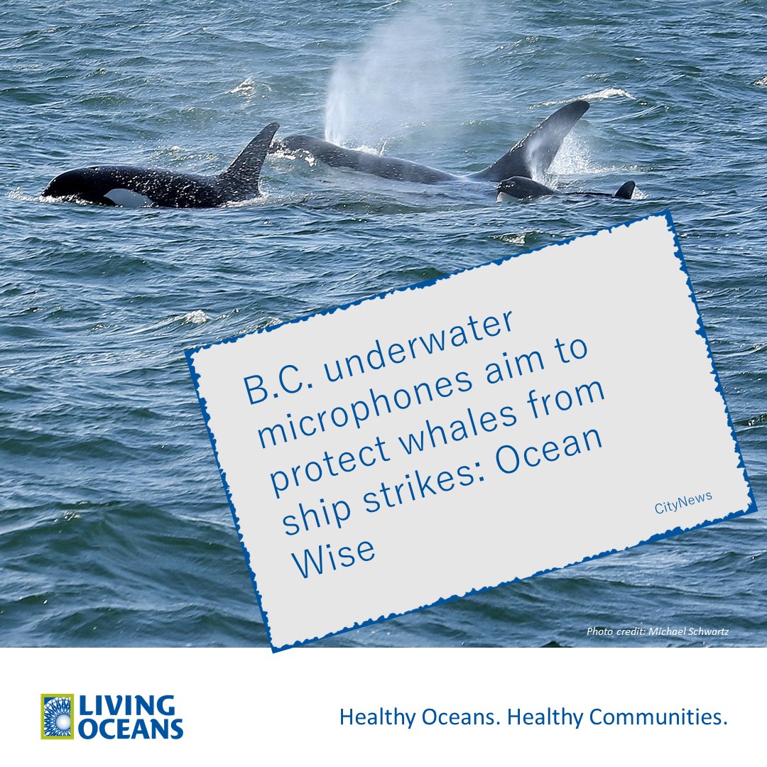 ICYMI B.C. underwater microphones aim to protect whales from ship strikes: Ocean Wise livingoceans.org/node/1309