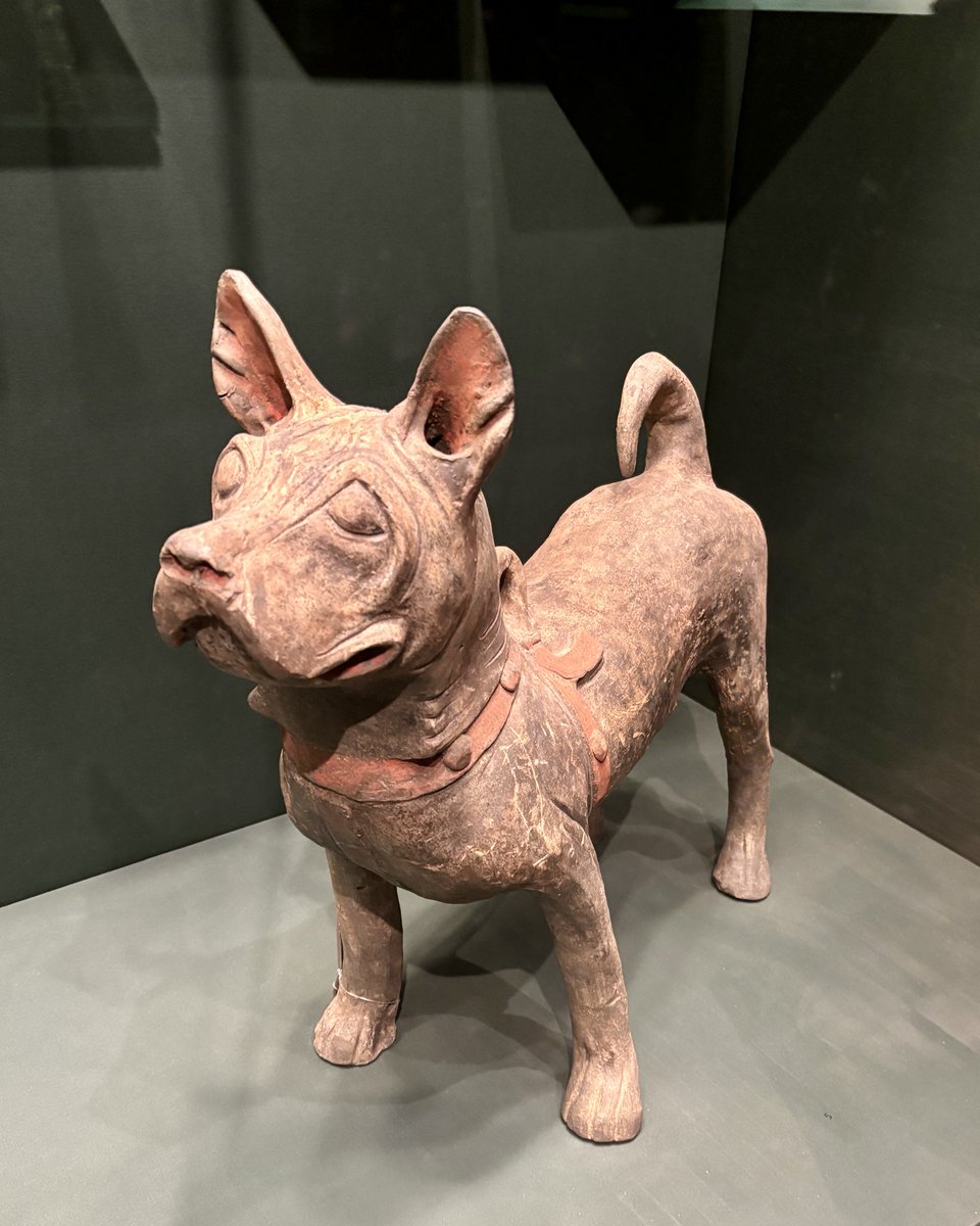 Paw-sitively adorable. 🐕 #NationalPetDay Have you spotted the charming animals, like this Chinese earthenware dog, in the collection galleries? Find deer, pigs, tigers, and other magical creatures at 'Phoenix Kingdoms,' which opens Apr 19! Learn more: go.asianart.org/PK