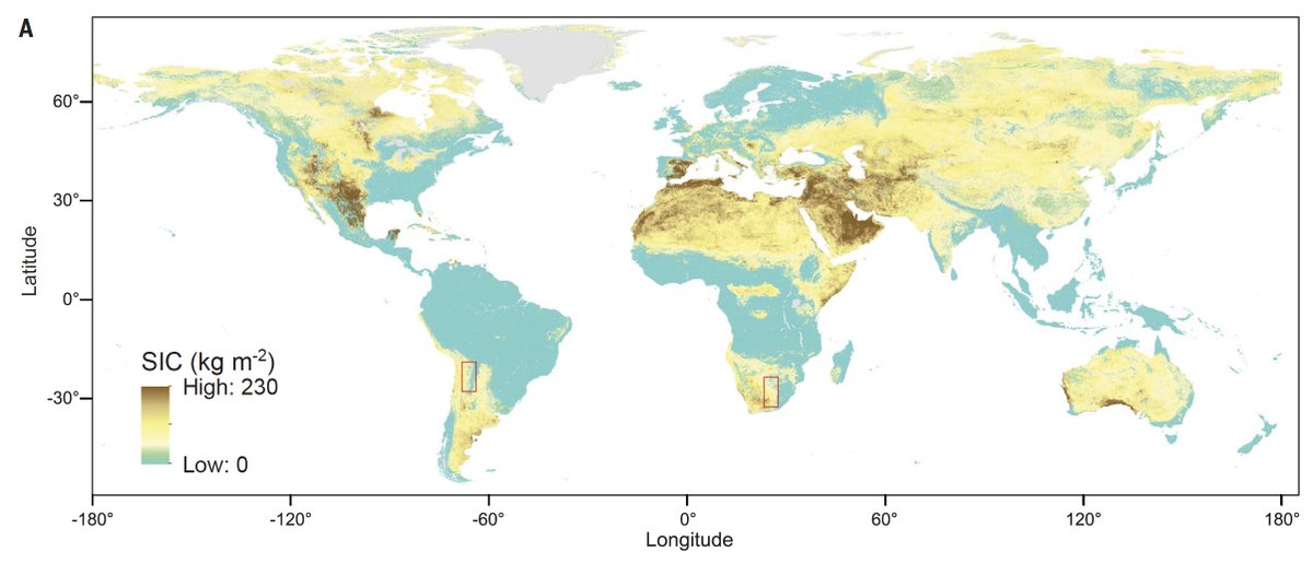 1/3 First-of-its-kind global analysis Size, distribution, and vulnerability of the global soil inorganic carbon. Outstanding work by @YuanyuanHuang18 ++ Just published: science.org/doi/10.1126/sc…