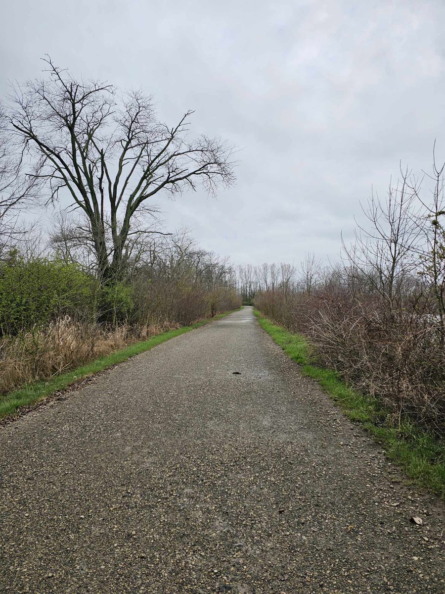 After the recent rain, the lake trail is now free of water, allowing you to freely stroll around its perimeter. We'd like to extend our gratitude to our friend, Dan Hudnell, for capturing these images and providing us with the update as of today (April 11).