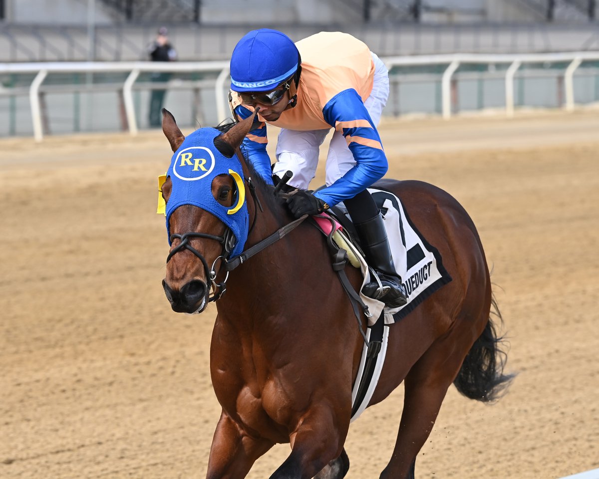 Antonio of Venice looks to earn back-to-back stakes scores in the 2024 Times Square division of the NYSSS at Aqueduct: racingdudes.com/nysss-times-sq…