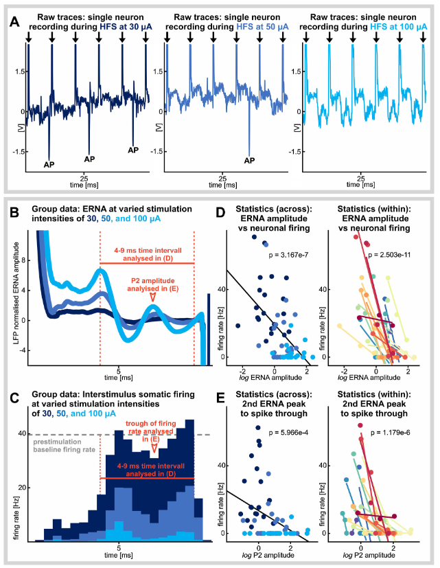 Steiner_LA's tweet photo. For the current study, we looked into the #singleneuron substrates of ERNA more substantially. First, we were able to show that ERNA is tighly linked to the same pattern of neuronal suppression at different stimulation intensities. https://t.co/2LdEkfNdRq