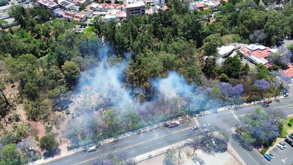 El pasado 9 de abril la @PoliciaZapopan detectó un incendio en el parque ecológico Eca Do Queiros y, tras acudir al lugar, sorprendieron en flagrancia a un sujeto prendiendo fuego a la hojarasca y que hoy ya enfrenta un proceso penal para responder por presunto ecocidio. La…