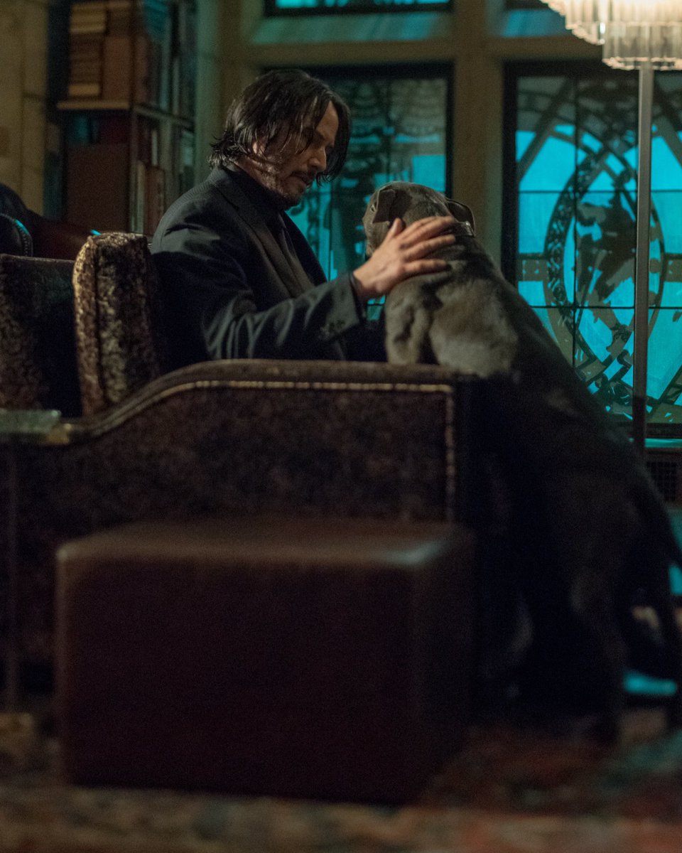 JohnWickMovie's tweet photo. Yeah, I’m thinking it’s #NationalPetDay https://t.co/TsZdJ5WiYM