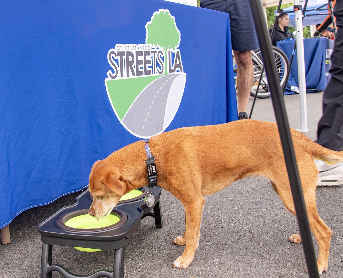 Happy National Pet Day from StreetsLA and our furry four-legged friends! @LACityDPW