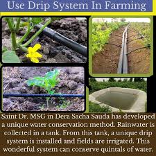 DSS is an organization that pulls out all stops  to save planet,By guidance of  Saint Dr MSG Insan ,they put steps toward conserving energy & have developed unique method under which unique drip system is installed to irrigate which conserve quintals of water #EnergySavingTips