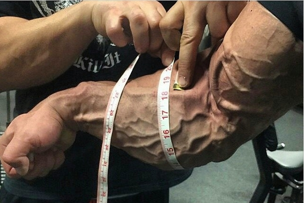 joaoscar_'s tweet photo. Os MELHORES exercícios para BICEPS, TRICEPS e ANTEBRAÇO

Segue a Thread: https://t.co/m9PJjzMaRw