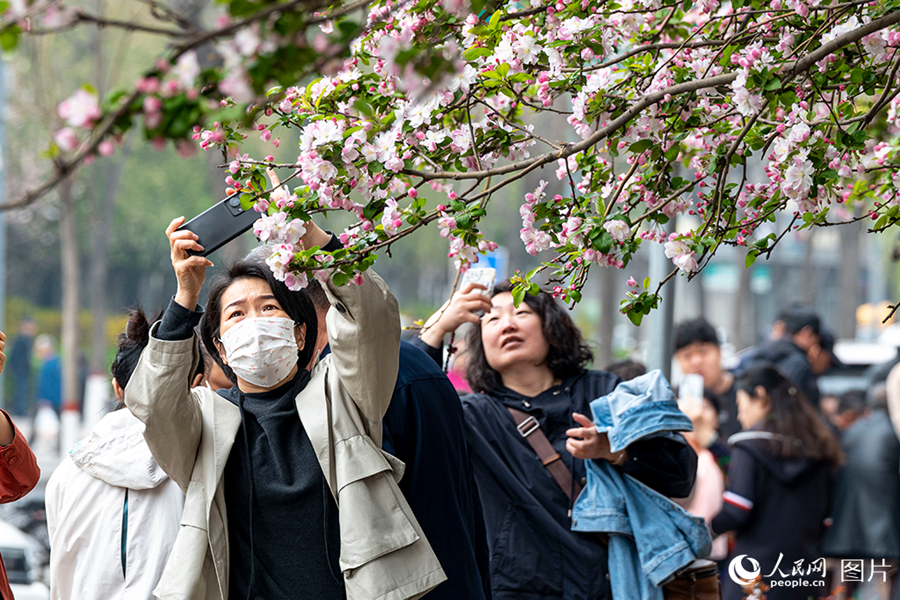 VoiceofPD's tweet image. #SpringinChina
🌸 Attracted by the vibrant hues and captivating #beauty of colorful #flowers blooming in full splendor, residents of various cities across China are enjoying outings and sightseeing tours in the springtime.
More pics: en.people.cn/n3/2024/0412/c…