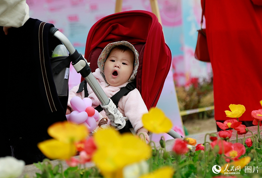 VoiceofPD's tweet image. #SpringinChina
🌸 Attracted by the vibrant hues and captivating #beauty of colorful #flowers blooming in full splendor, residents of various cities across China are enjoying outings and sightseeing tours in the springtime.
More pics: en.people.cn/n3/2024/0412/c…