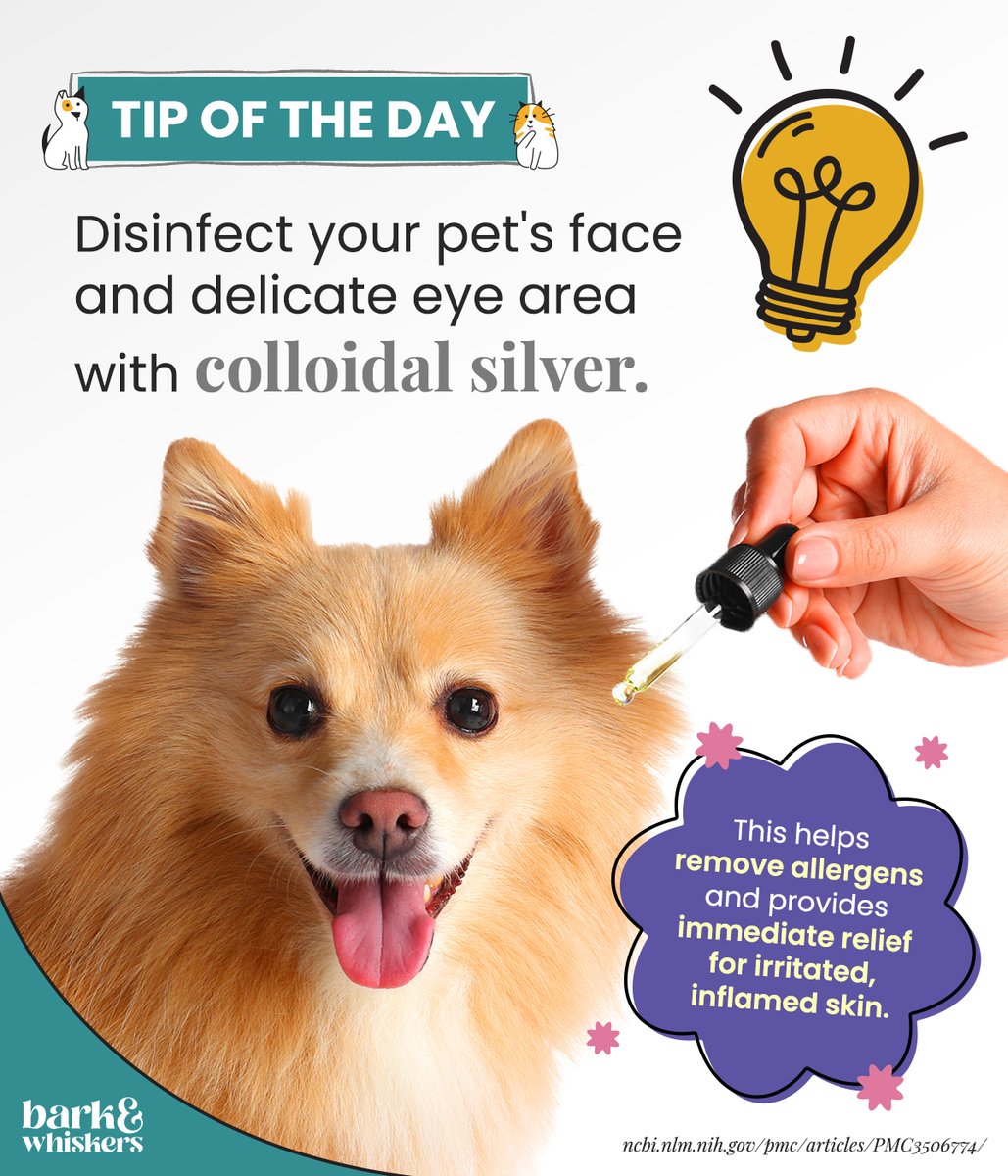 Allergy season is in full swing, so protecting your pet from the onslaught of outdoor allergens outdoors is important. 🐾 Try using this remedy to help disinfect their face and delicate eye area. 👇 More tips here: bit.ly/3VQbUA9 #TipOfTheDay #DogTips #PetTips