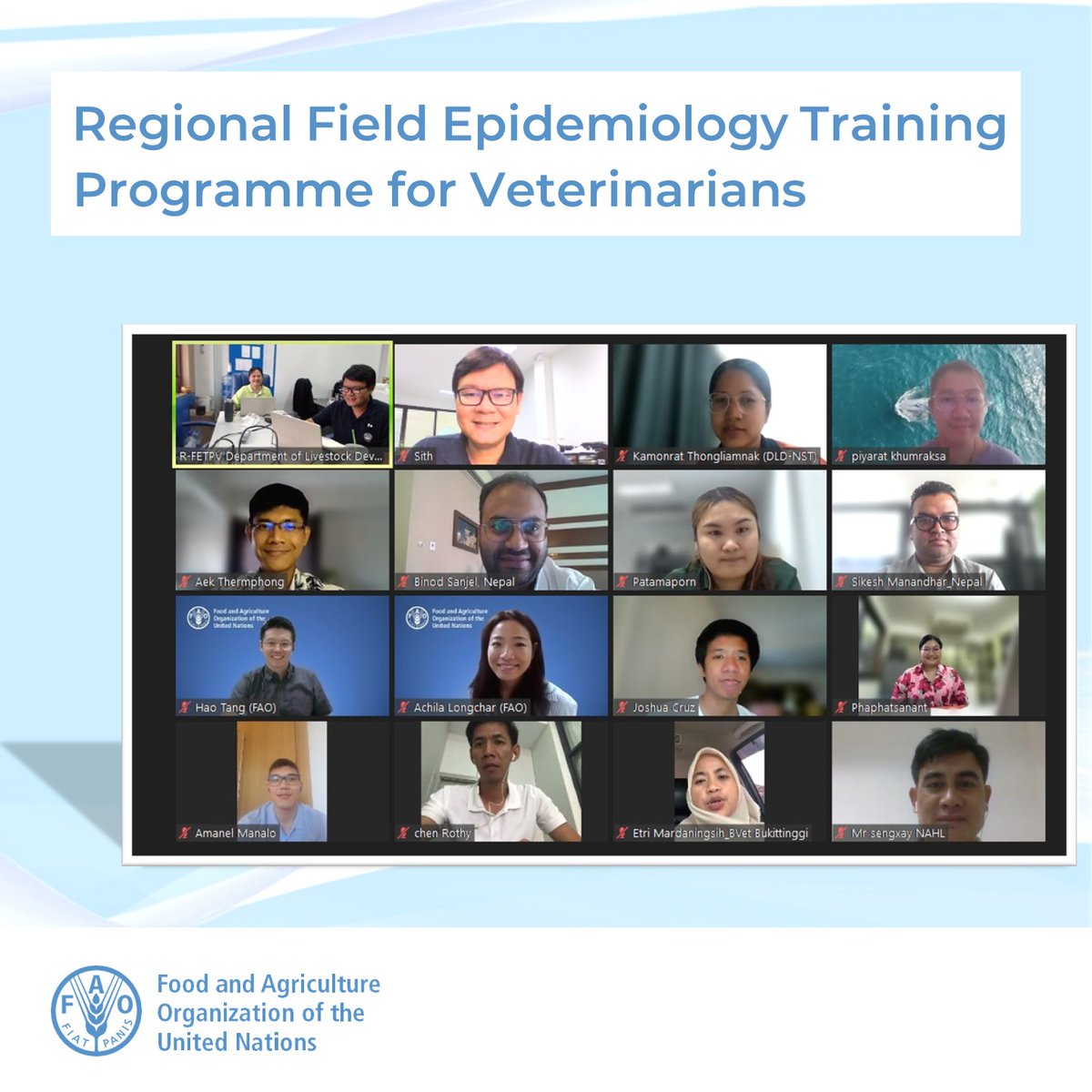 Efforts to strengthen veterinary epidemiology in Asia continue, crucial for rapid outbreak response and surveillance. Welcoming trainees from 6️⃣Member Nations to @RFetpv’s six-month module, starting via @FAO Virtual Learning Center. Thanks @doddtra and @USAID for support.