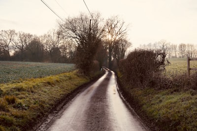 Jack Bassingthwaighte ©️ Unsplash |  #photography #naturephotography #landscape #trail #gravelbike #cyclocross #hiking