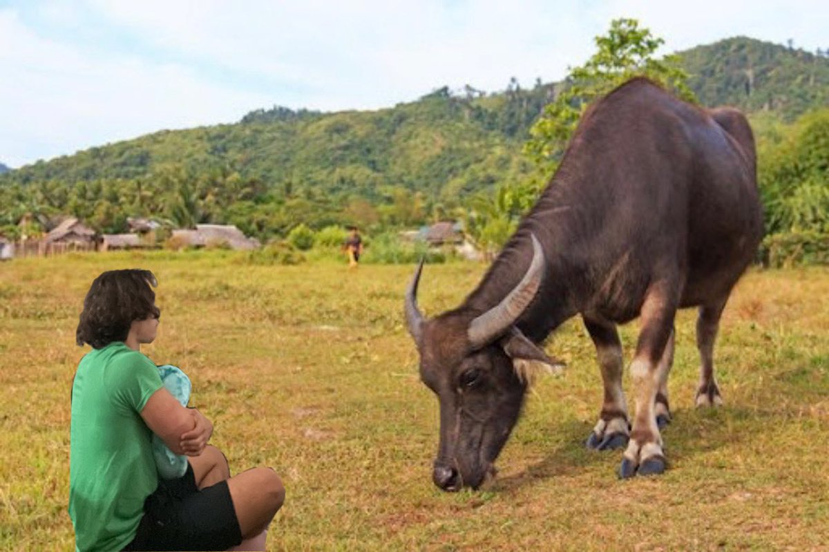 what if you die and to go to heaven you have to 1v1 a water buffalo? are you prepared? I am. 🔥🐃