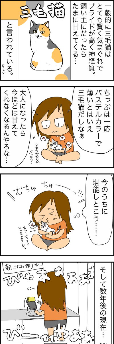 三毛猫ってこんなんやったっけ?って漫画🐱
 #漫画がよめるハッシュタグ 