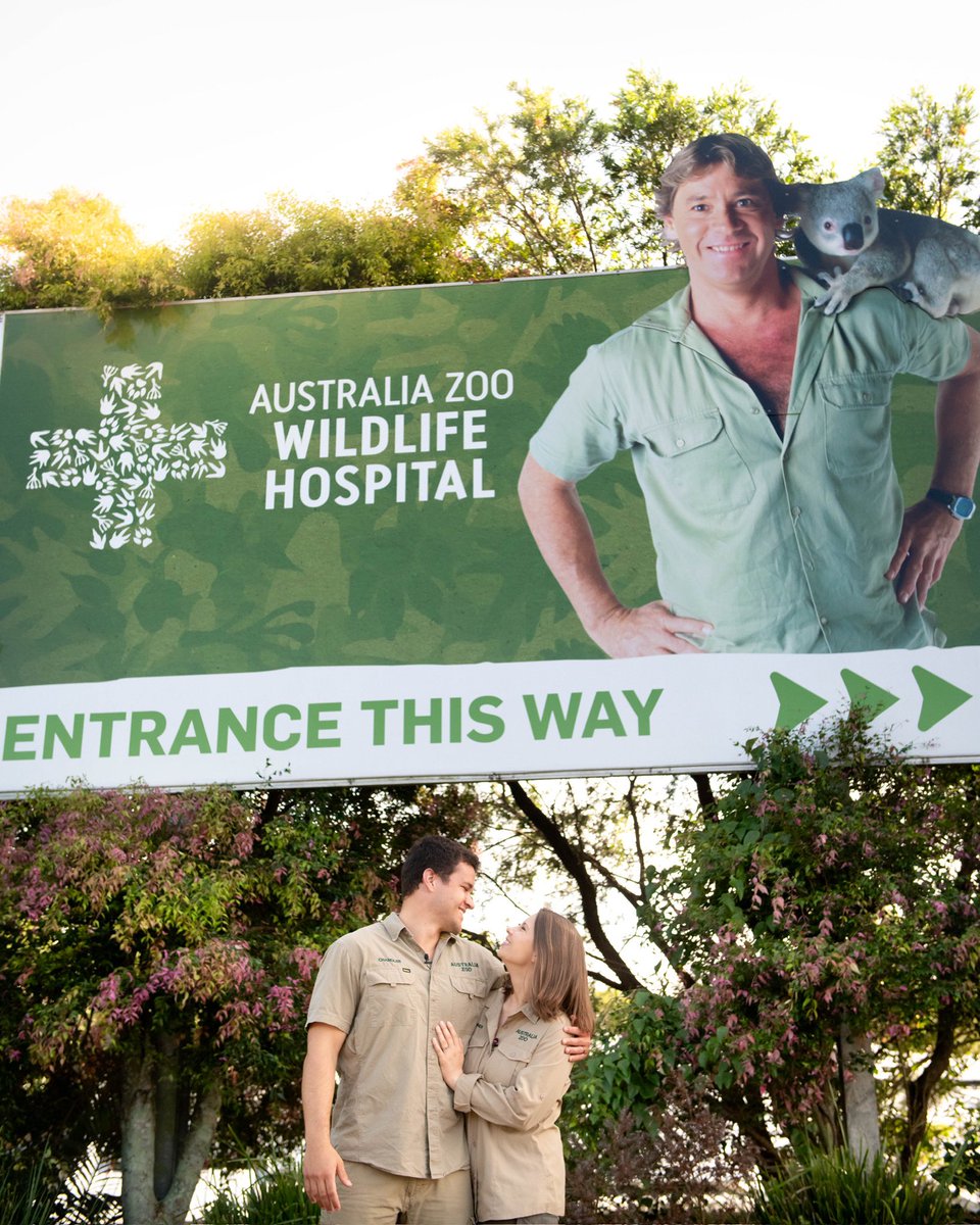 On your next @AustraliaZoo adventure, be sure to visit our life saving Wildlife Hospital. A place of tremendous healing, take a sneak peak into our extraordinary world of wildlife care. 💚 We guarantee you’ll be inspired by the work of our vets, nurses and volunteers.