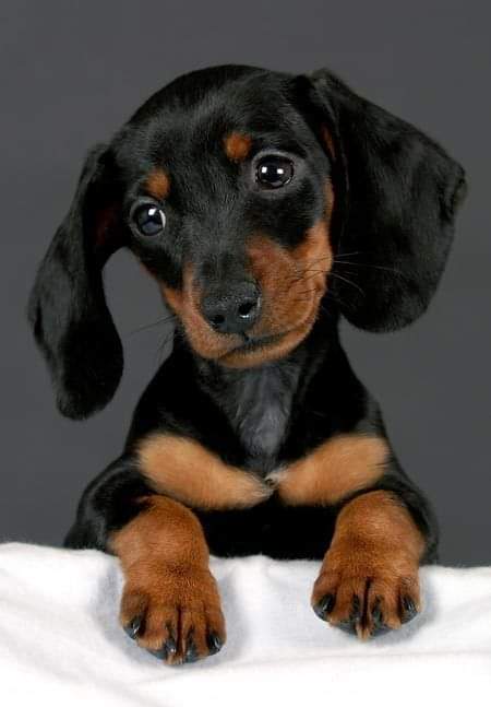 Nebojsa65671878's tweet image. Dobro jutro svima vama,pa i meni😀