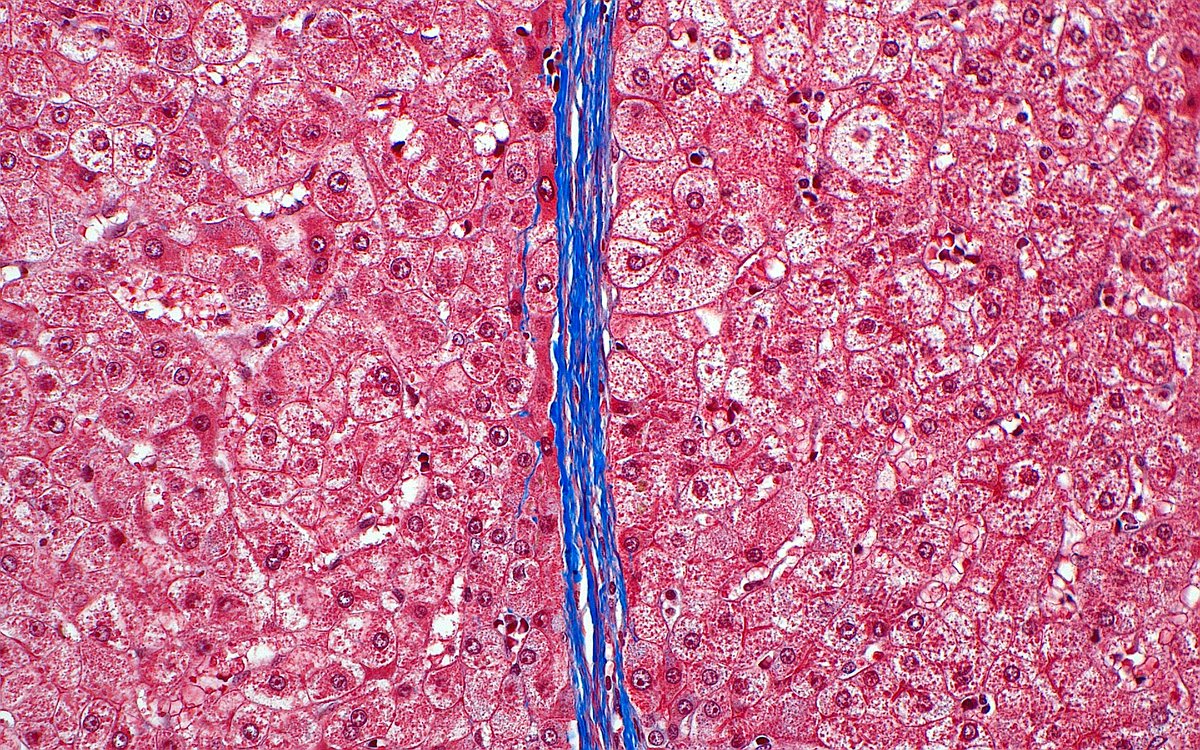 Trichrome 'River' ~ #PathArt