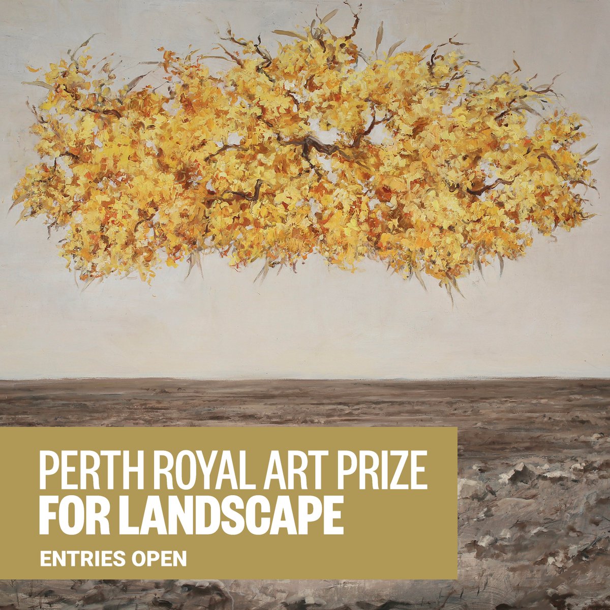 The prestigious Perth Royal Art Prize for Landscape is back for 2024! 

Submit your masterpiece by May 19th.  ➡️ perthroyalshow.com.au/competitions/p…
