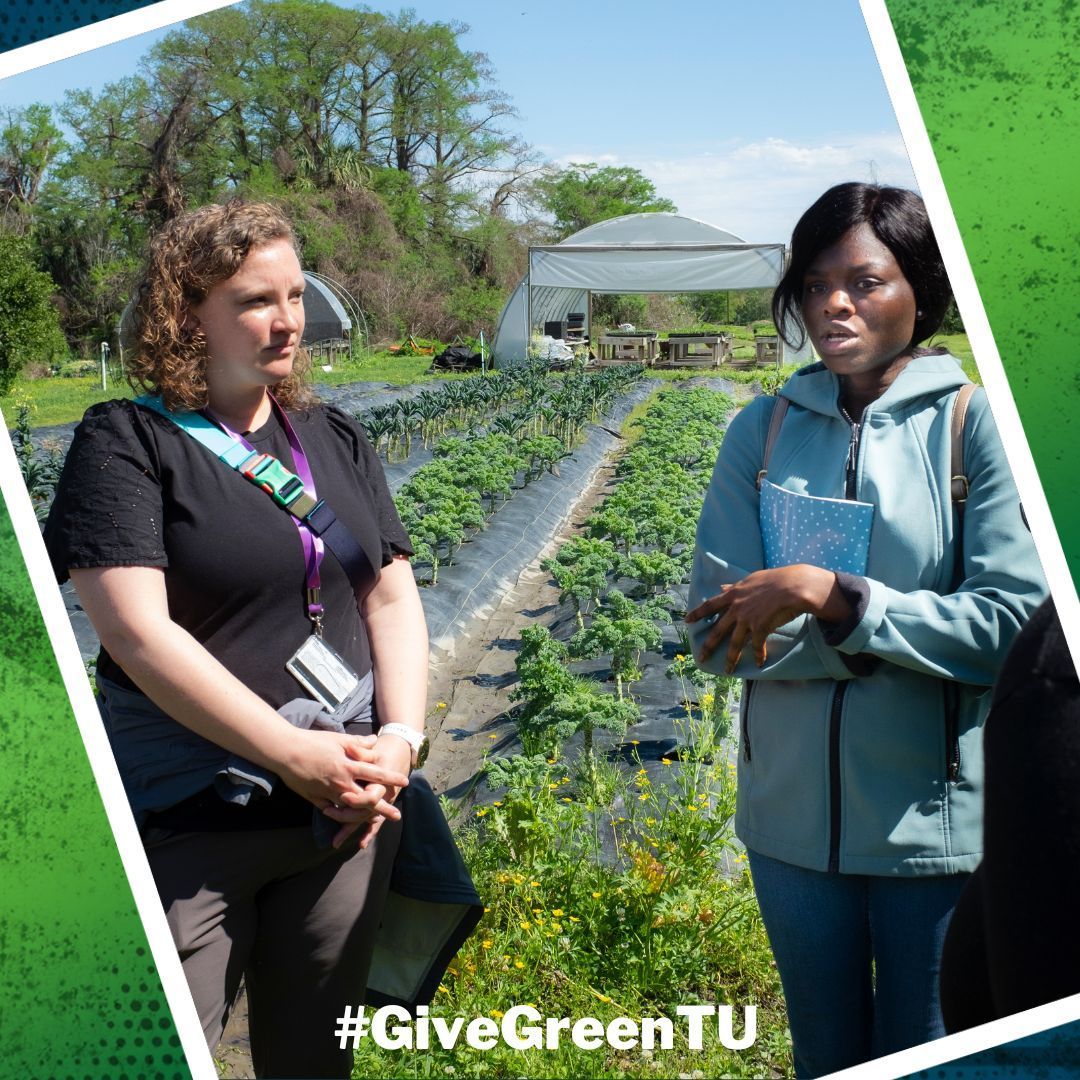 We're in the #GiveGreenTU home stretch. Can you help #TulaneSPHTM hang on to third place in our group and secure a $2,000 bonus? This is a great time to make a difference for our students. buff.ly/3yB3Ear