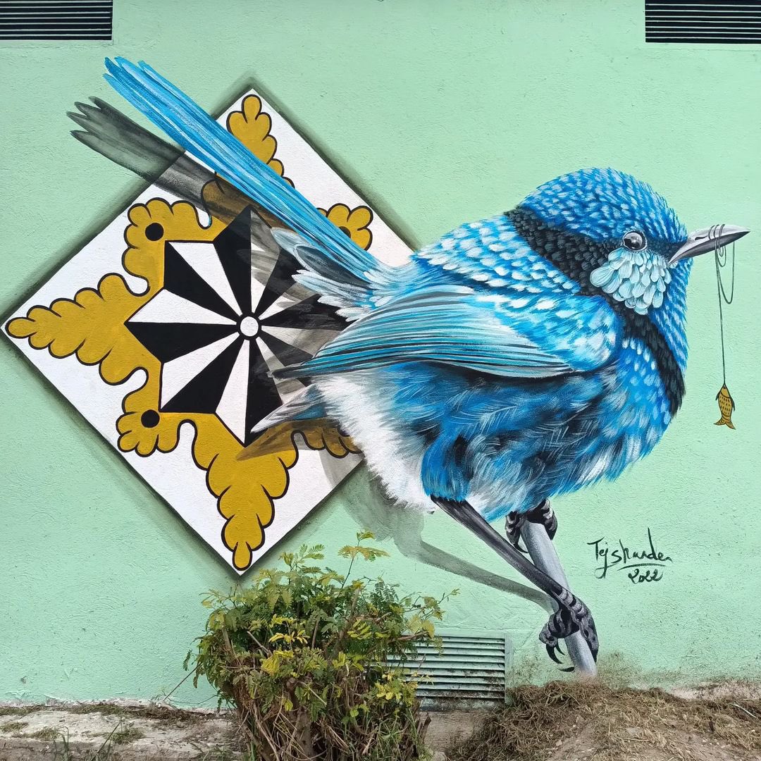 #StreetArt by Skander-tej📍Monastir, Tunisia 🇹🇳 
#HappyFriday 🌞🐦‍⬛