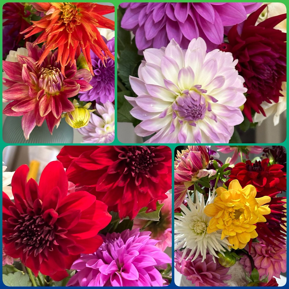 From the Vase Album 👋👋👋👋👒 #FlowersOnFriday #WhatsInYourVase #Garden #Flowers #Dahlia