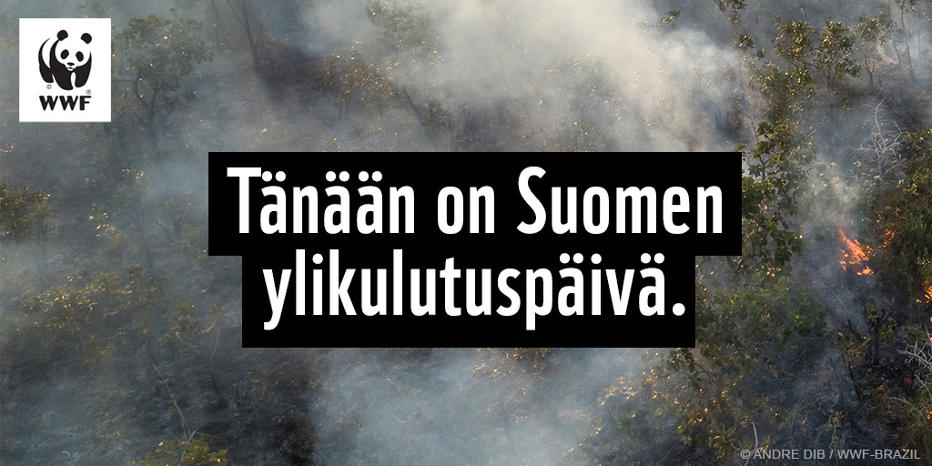 Tänään on se päivä, jolloin Suomi ja suomalaiset ovat kuluttaneet vuotuisen osuutensa maapallon uusiutuvista luonnonvaroista. Suurin vastuu luonnonvarojen #ylikulutus lopettamisesta on poliittisilla päättäjillä. Lue lisää: wwf.fi/uutiset/2024/0…