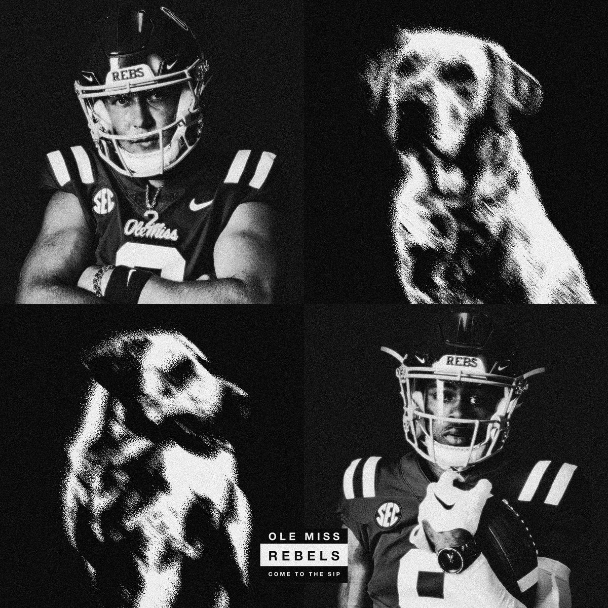 OleMissFB's tweet photo. We Still Don’t Trust You 🚫🐀☠️

@MetroBoomin | #ComeToTheSip https://t.co/eGqgloGw5P