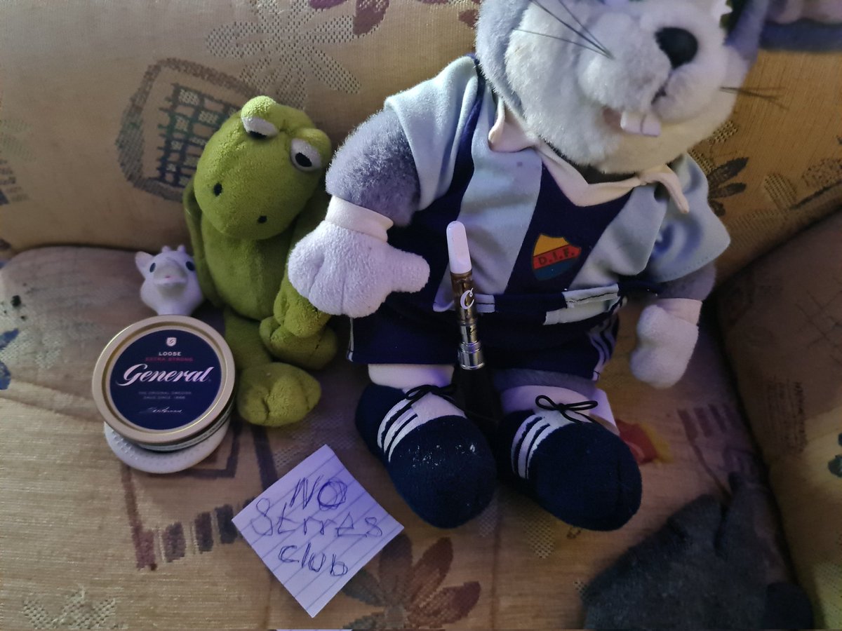 DanheimViktor's tweet image. #SoftaOfta baksnus var fan inte igår. #Södermalm ✌️💞😇🇸🇪🇪🇺🇺🇦🎶🌍💛💙❤️ #StandWithUkraine #Lovemom 🫶👌