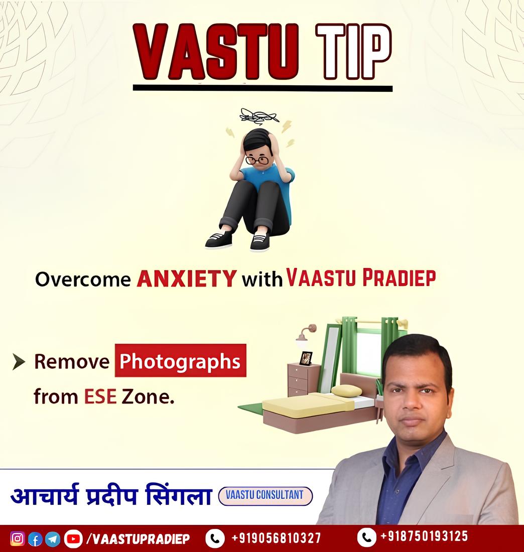 For More Details Contact with me +919056810327

follow @vaastupradiep

#vastutip #home #vasturemedies #vastuhome #vastulogy #vastudesign #vastu #astrology #astrologer #vastutips #vastushastra #vastupropertyconsyltancy #vaastupradiep