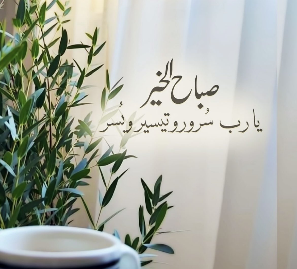 ᗩᒪᖇᗴᗴᗰ tweet media