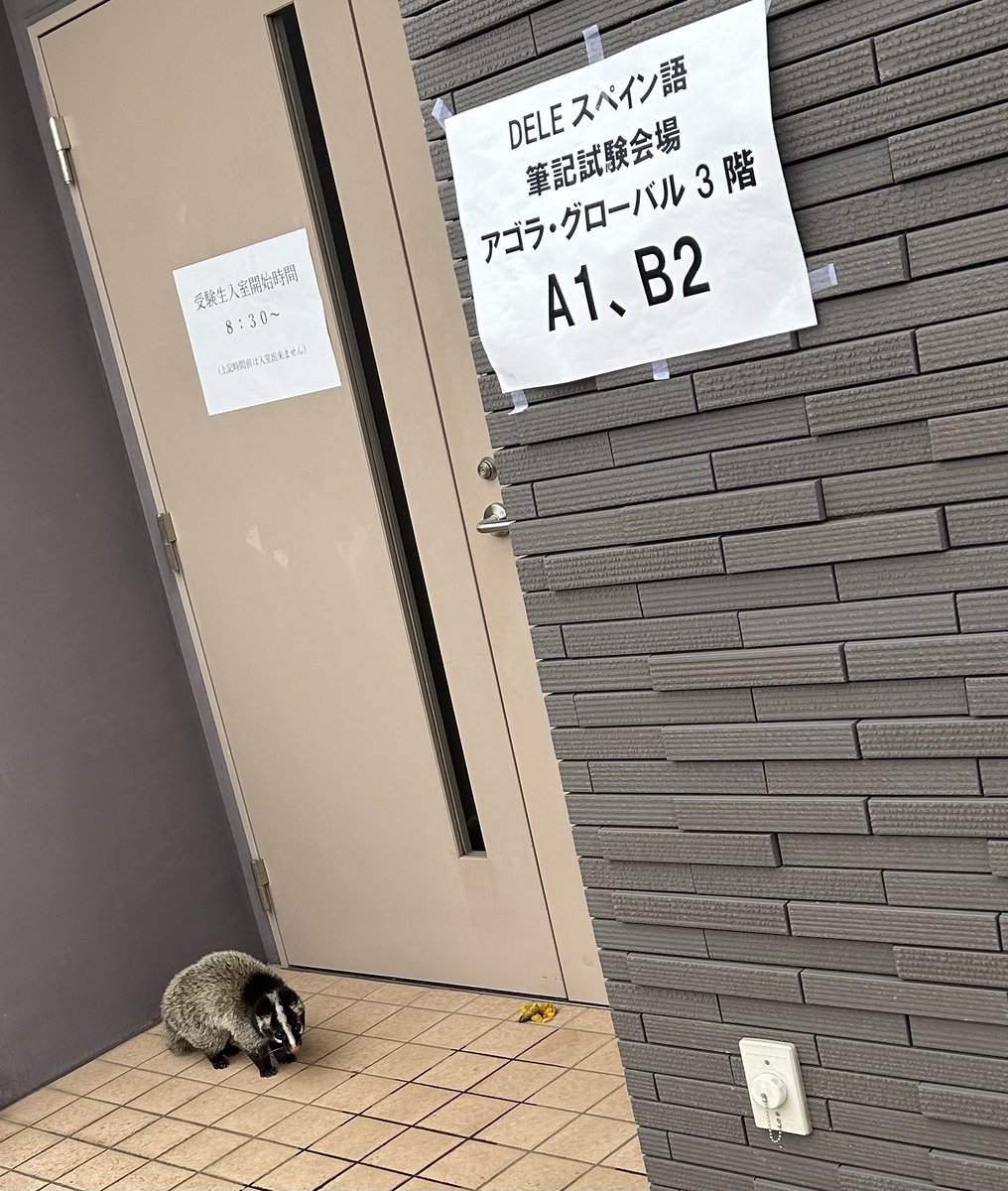 mattsclass's tweet photo. Saw this guy at TUFS this morning. I think he was waiting to take the Spanish test? https://t.co/XXxY5EsX6k