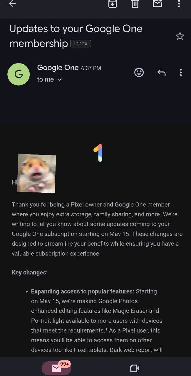 How to Share Your Google One Storage With Family [2024]  