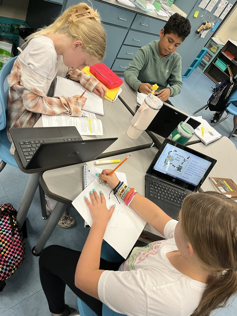 meetMsMoyer's tweet photo. Researching Florida plant life cycles. So many interesting plants in our state! #vcsscientists https://t.co/AzLbNBlW1m