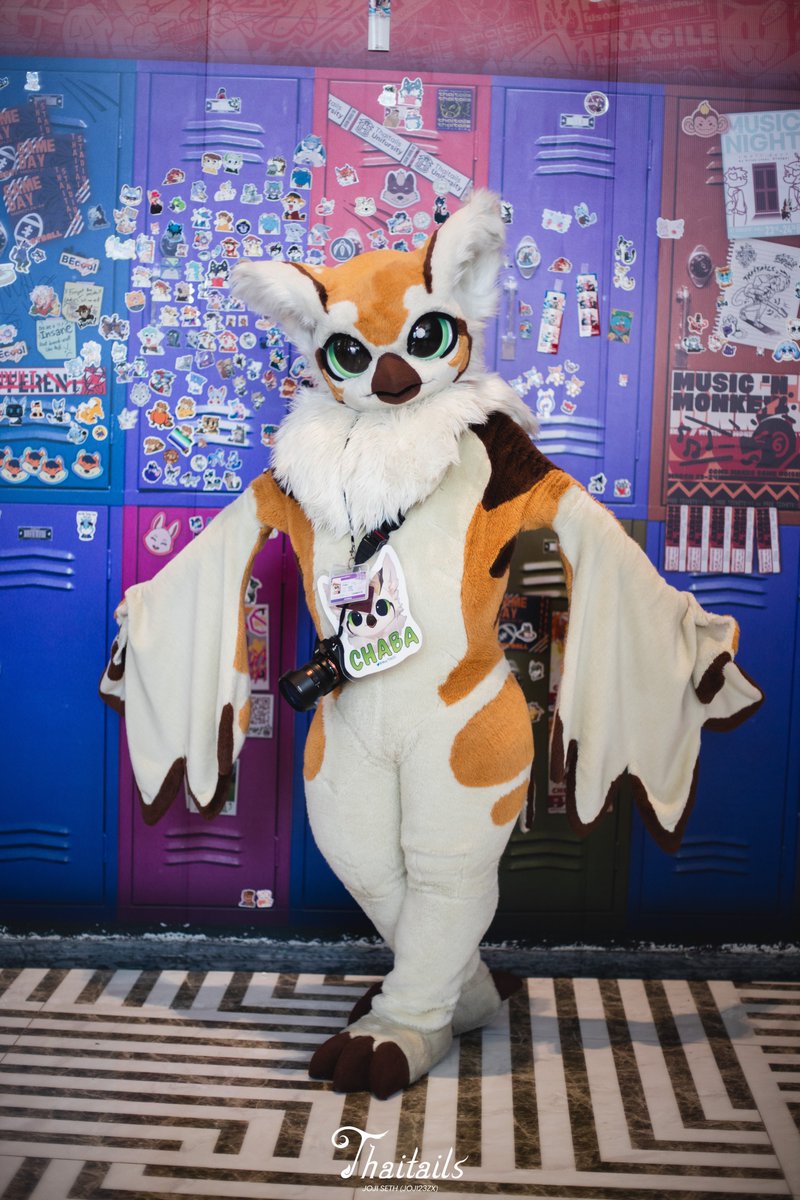 Thaitails was so much fun!! Next I'm flying to Taiwan for Furry Tea Party. See you soon!🦉✨ 📸 @Joji23zx #Thaitails2024 #FursuitFriday
