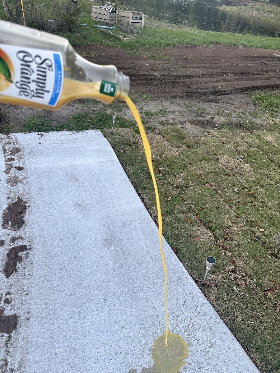 Skunk Ape tweet media