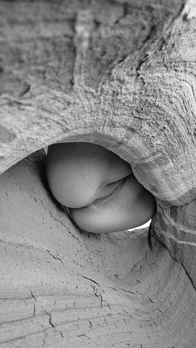 Finding the beauty in the desert. https://t.co/opEcxTsC0q