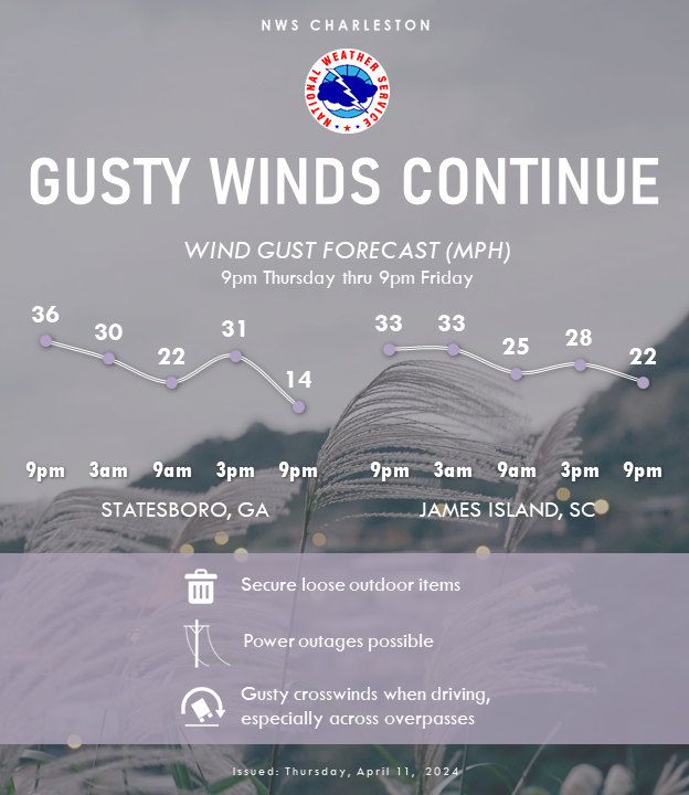 While most of the rain has cleared, winds will continue to gust 25-35 mph overnight into tmrw. Be sure to secure outdoor items through the night. Gusts could continue to bring down tree limbs, cause localized power outages & difficulty driving over bridges/overpasses. #scwx #gawx