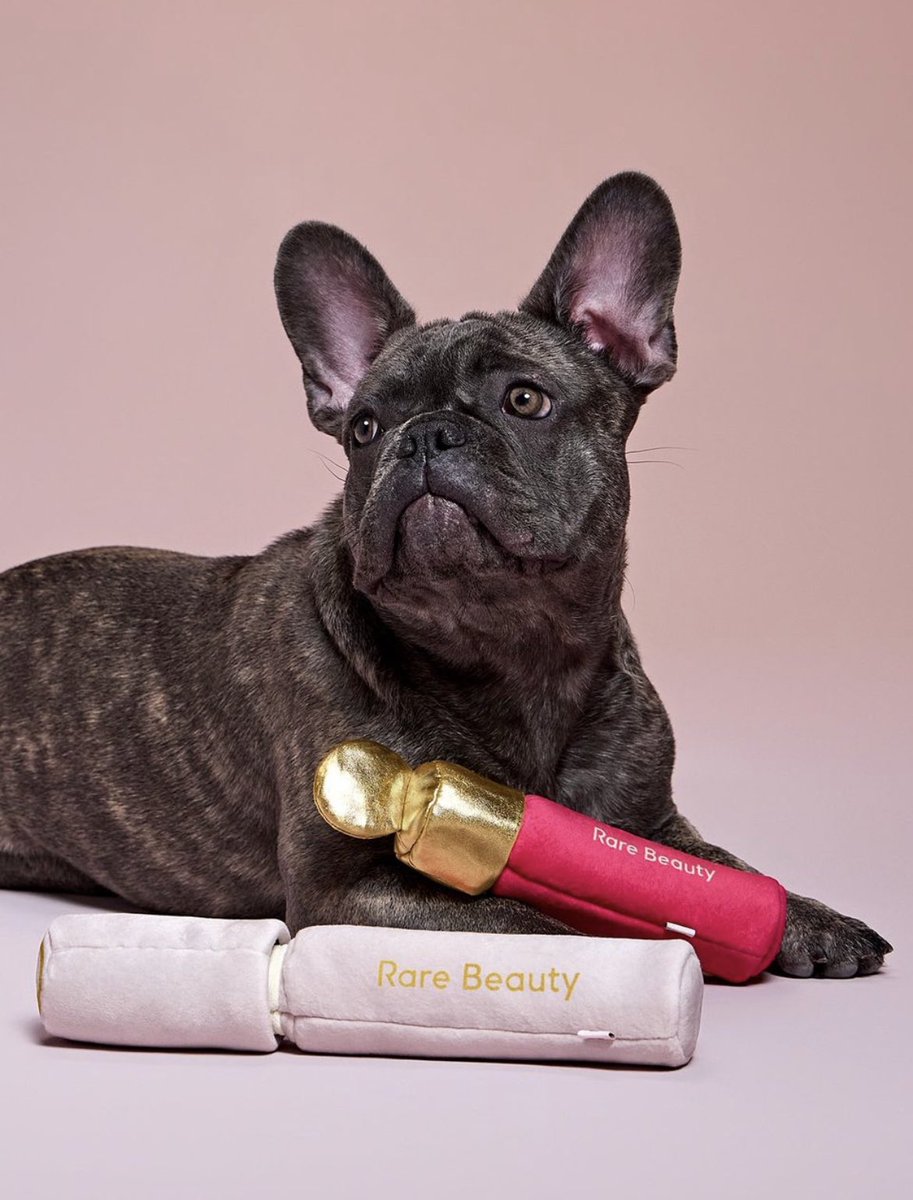 The beauty bosses tweet media