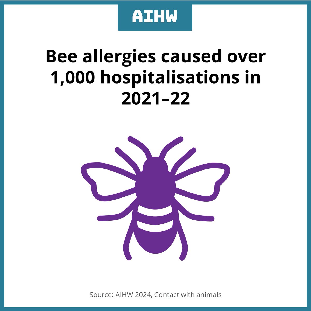 Bee allergies caused 1,072 injury hospitalisations in 2021–22. A further 201 cases were hospitalised due to contact with hornets, wasps or bees. 🐝 Explore data on other types of venomous animals in Australia brnw.ch/21wIJNZ #beeallergy #beesting #venomousanimals