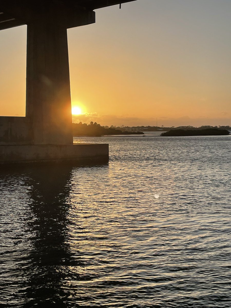 Michael Knodler tweet media