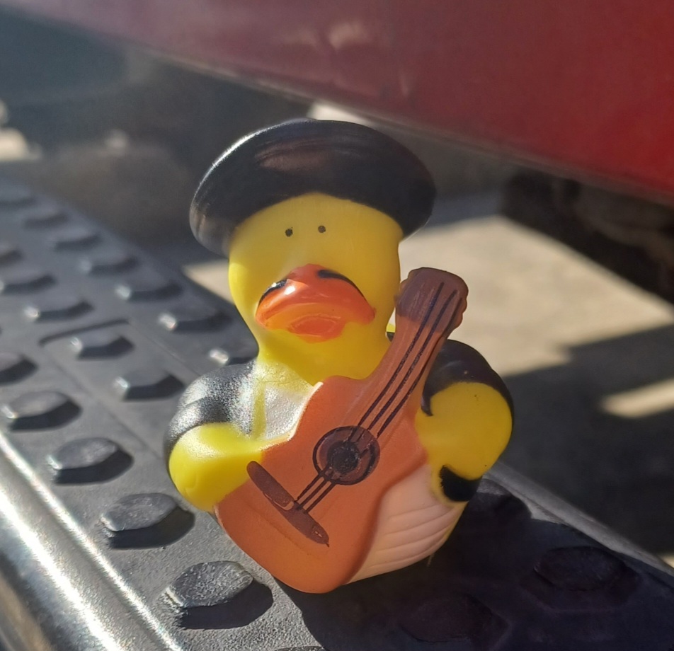 GingerMcDL's tweet image. My girls got #ducked today at @LucyCoopersIce1. The best part is that they are #mariachi. I love #SanAntonio #JeepLife
