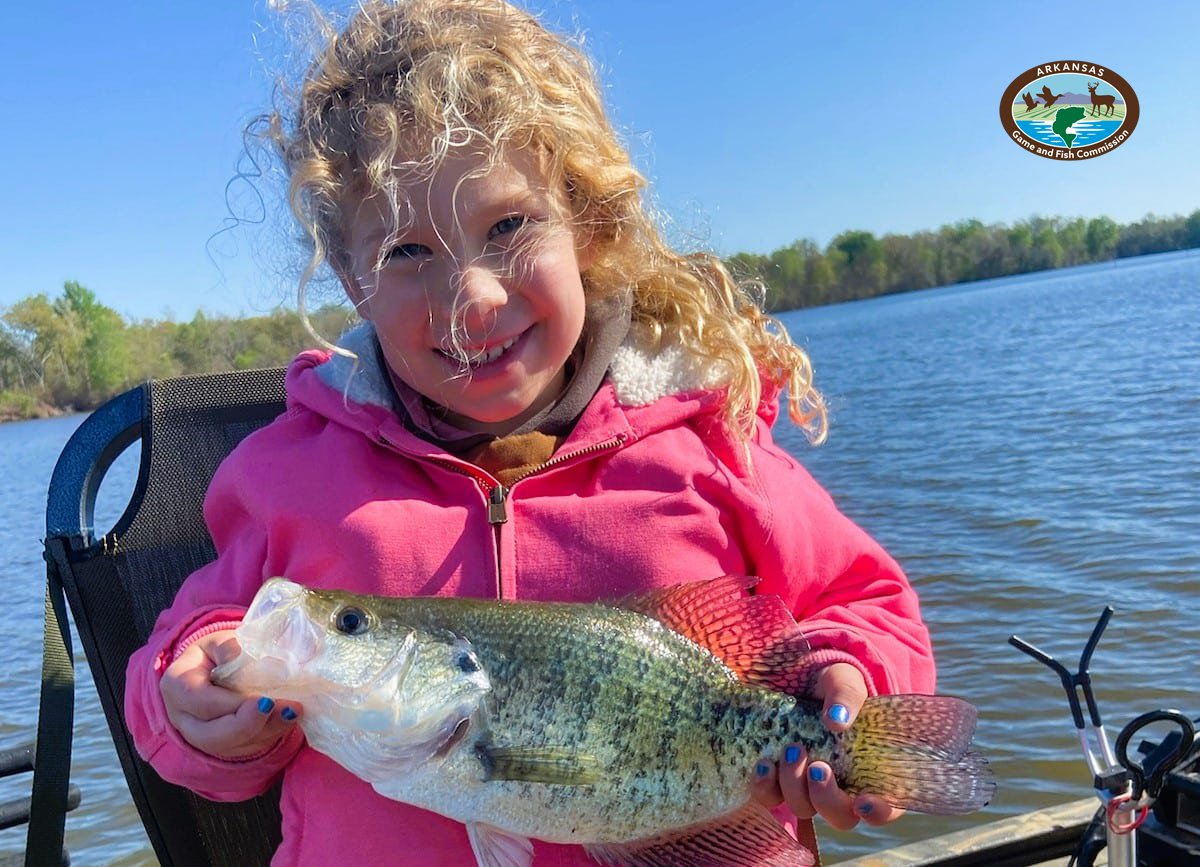 Arkansas Wildlife Weekly Fishing Report April 11, 2024 🎣 bit.ly/43SUWmL This youngster, the granddaughter of angler Tim Head, is ecstatic at catching a slab crappie at Overcup Lake in Conway County this past week. The crappie weighed 2.3 pounds.