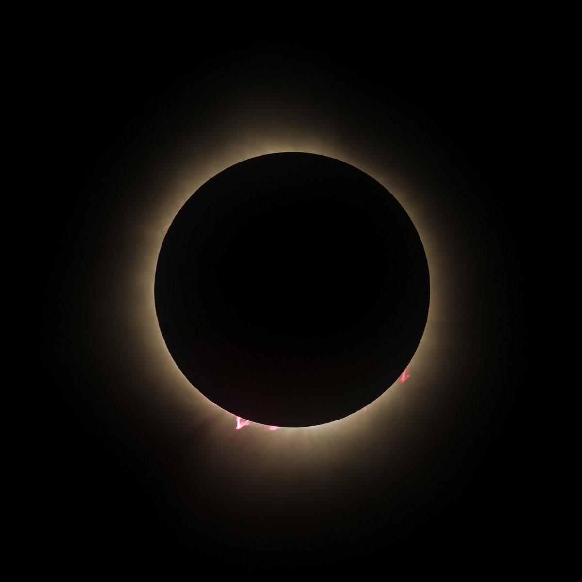 Kevin Chang tweet media