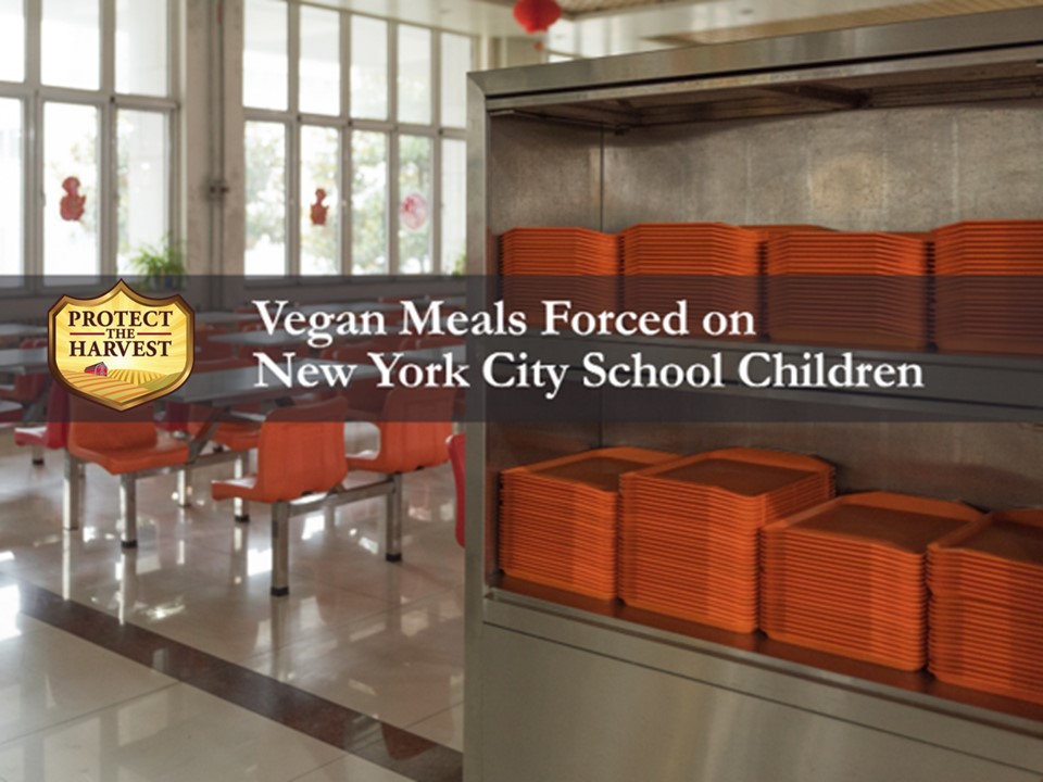 Vegan diets are being forced onto children in NYC schools.
#nyc #nutrition #malnutrition #food #vegan #veganism #animalextremism
protecttheharvest.com/news/vegan-lun…